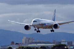 Landing Posture ☆Boeing787-8