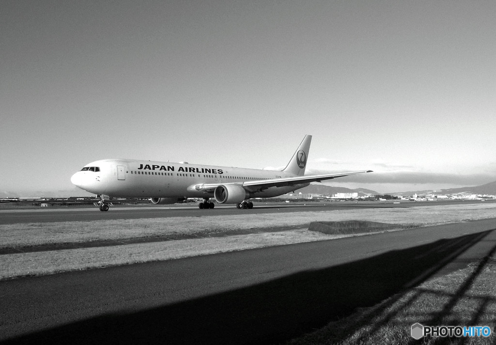 白い貴婦人・JAL