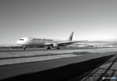 白い貴婦人・JAL