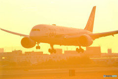 輝くきみへ・787