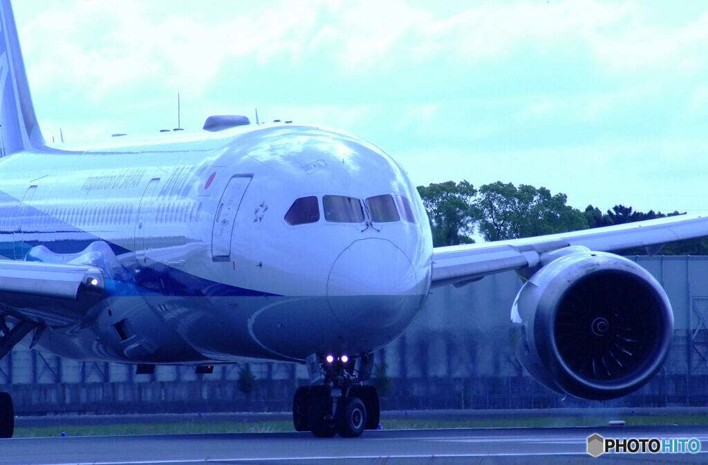 SKY LANDの朝 Ⅸ✈Boeing 787-8