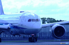 SKY LANDの朝 Ⅸ✈Boeing 787-8