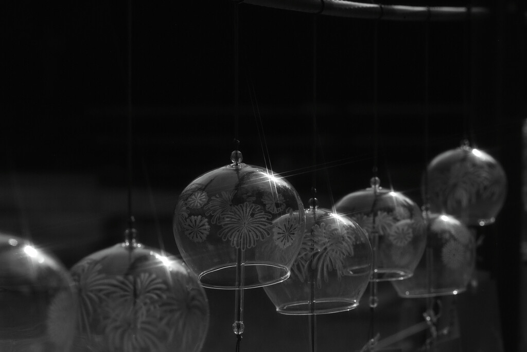Light and shadow♩水無瀬神宮