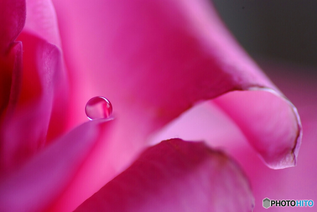 永遠の輝き✾雫