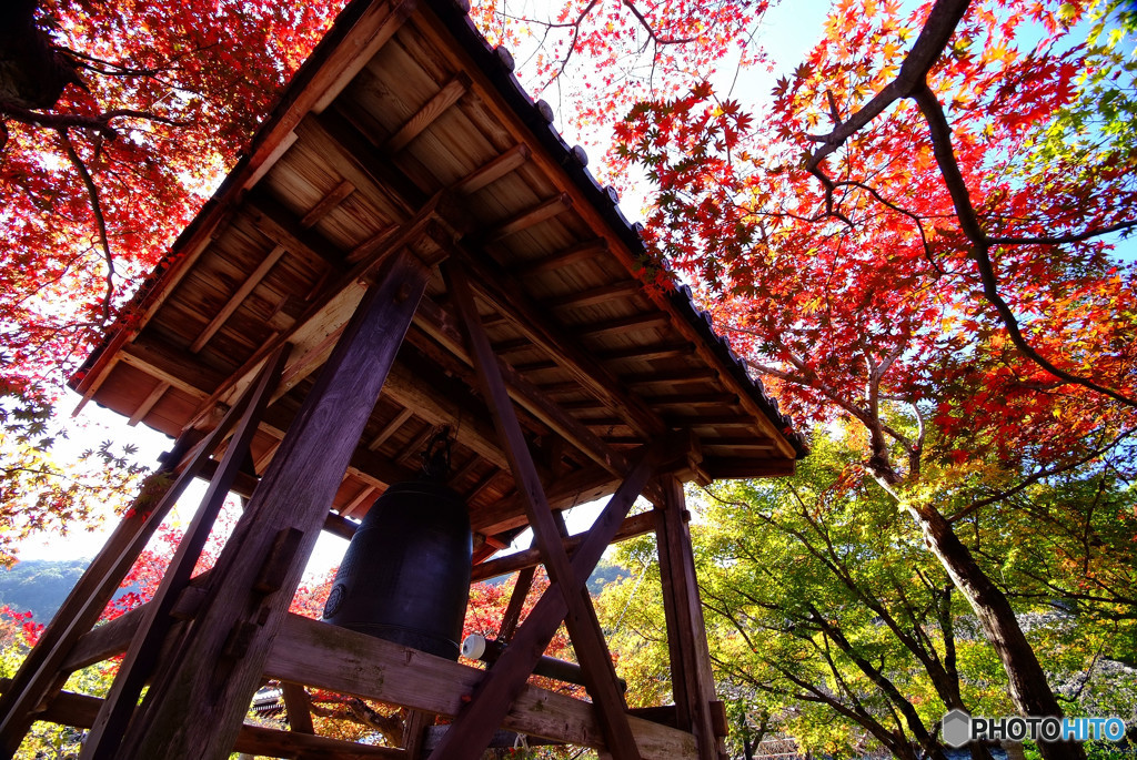 紅葉・念仏寺にて