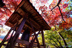 紅葉・念仏寺にて