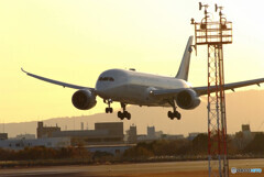 December journeyⅤ✈Boeing 787-8