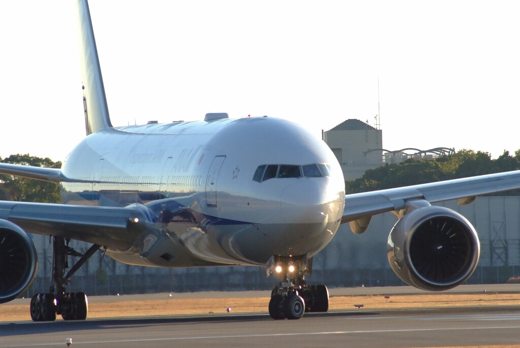 SKYLANDの朝✿Boeing777-200