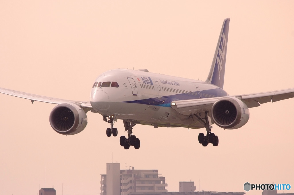 夢の世界へ・787