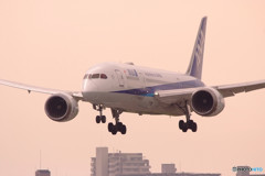 夢の世界へ・787