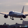 Morning Bird✈JA847J