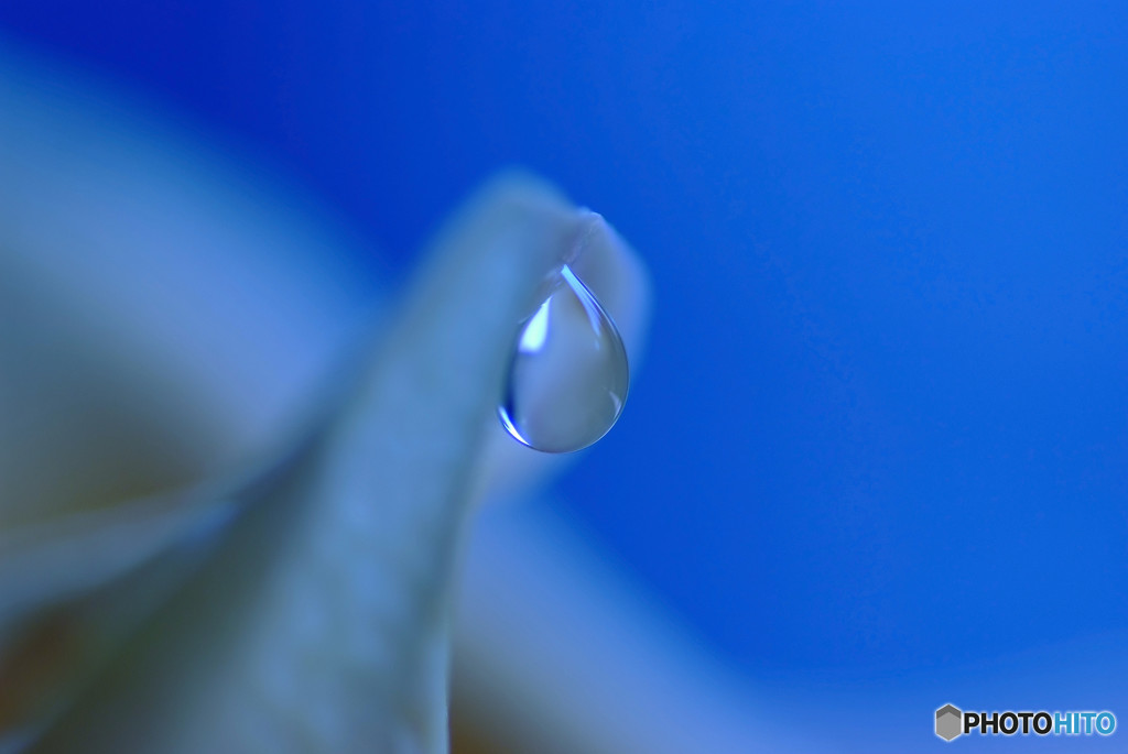 涙のしずく・・