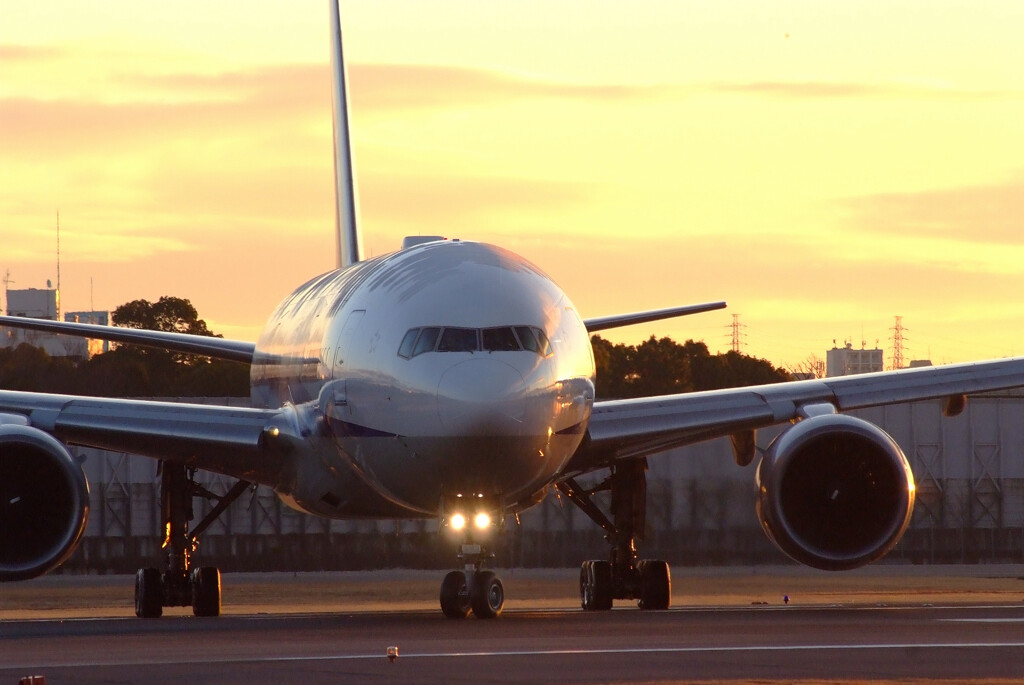 大安の朝✈Boeing777-200