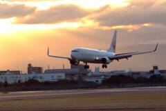 新しい世界へ✿Boeing737-800