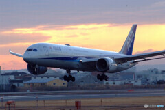 Golden Time✈ANA 787-9