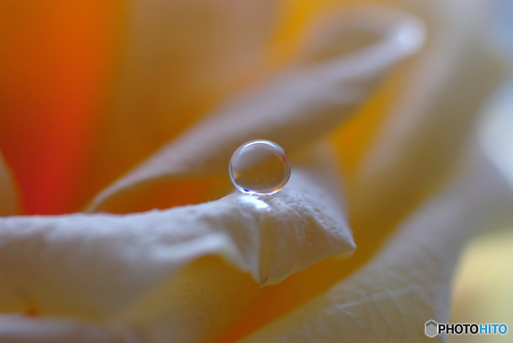 Drop of the Happiness