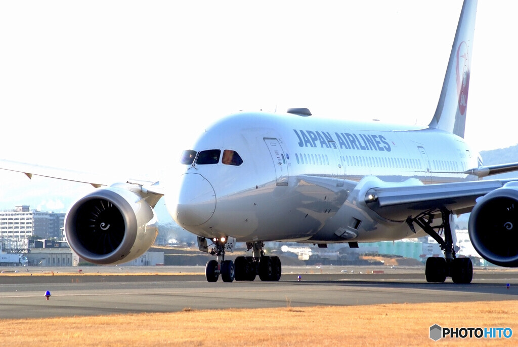 Afternoon of brillianceⅤ✈Boeing787-8