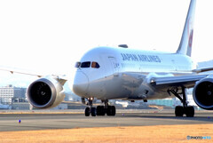 Afternoon of brillianceⅤ✈Boeing787-8