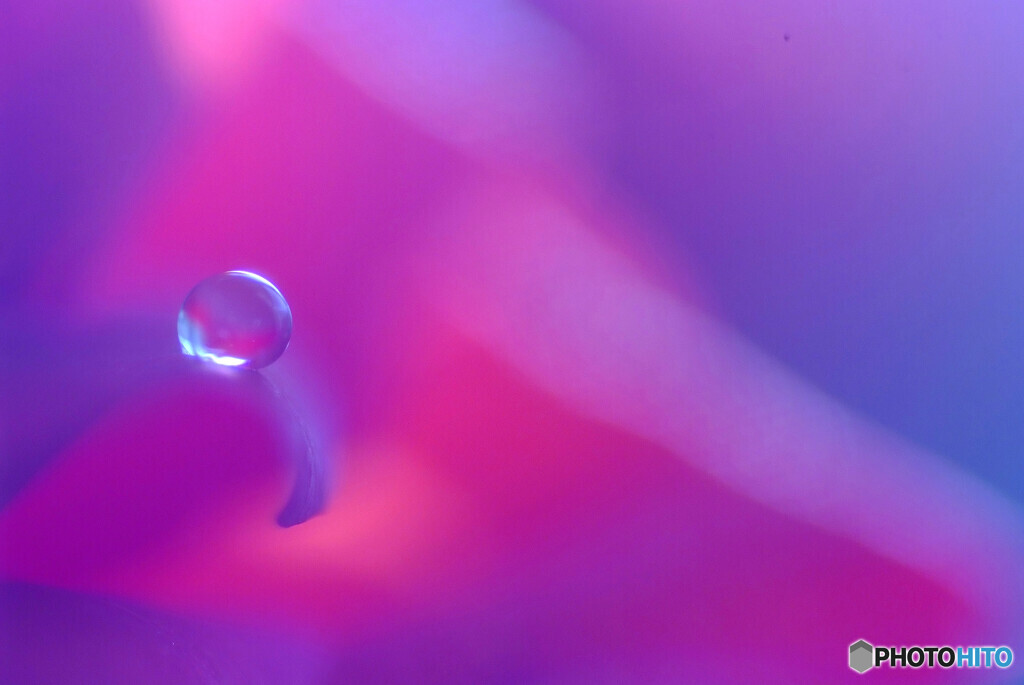 うたかたの夢✾秋雫