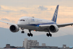 Morning ShowⅢ・787