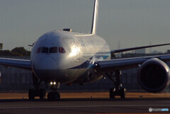 沈黙の翼✈Dreamliner