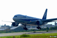 August morningⅡ✈Boeing 777-200