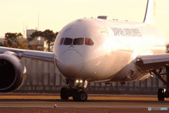 Ｗhite Knight・787