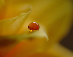 琥珀の想い・雫（Ⅰ）