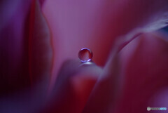 永遠に美しく✿雫