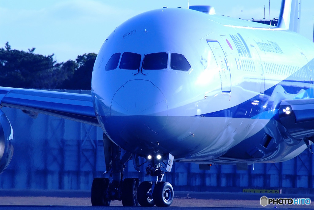 December Star・JA810A