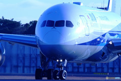 December Star・JA810A