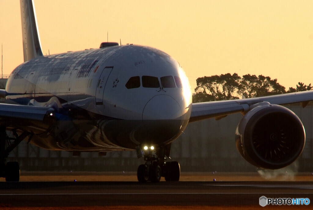 俺の旅立ち✈JA817A