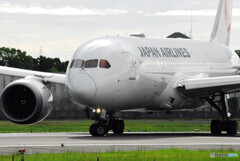 俺の旅路Ⅴ夏✈JA847A