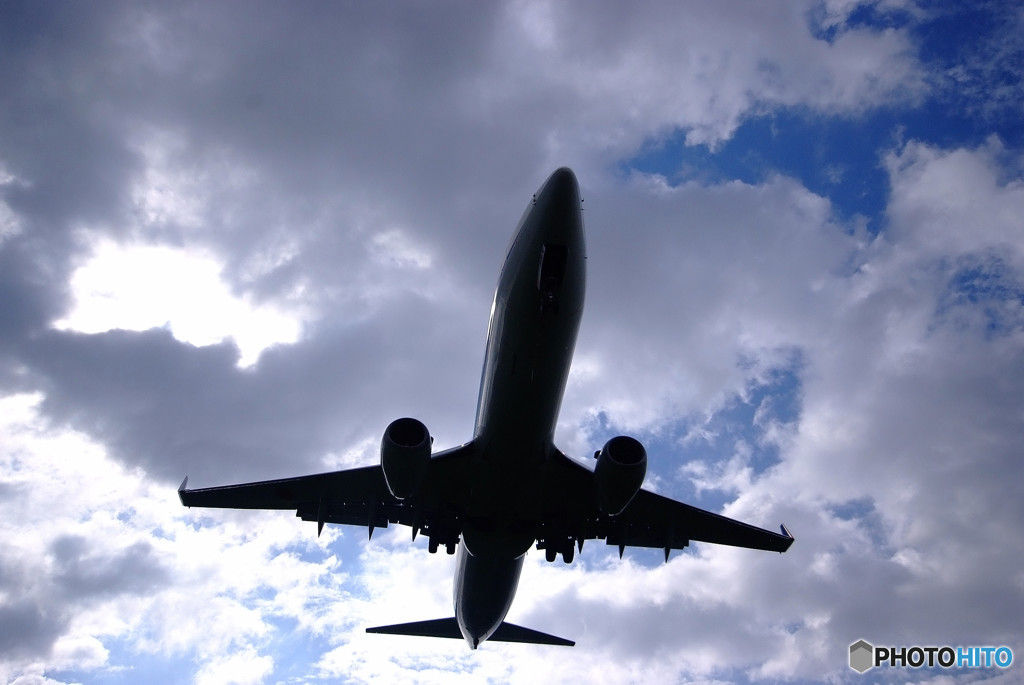 Fly to the Sky・2017