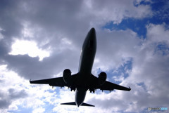 Fly to the Sky・2017