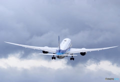 希望への翼・787