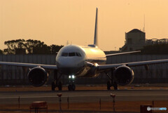 March MorningⅩ★Airbus A321neo