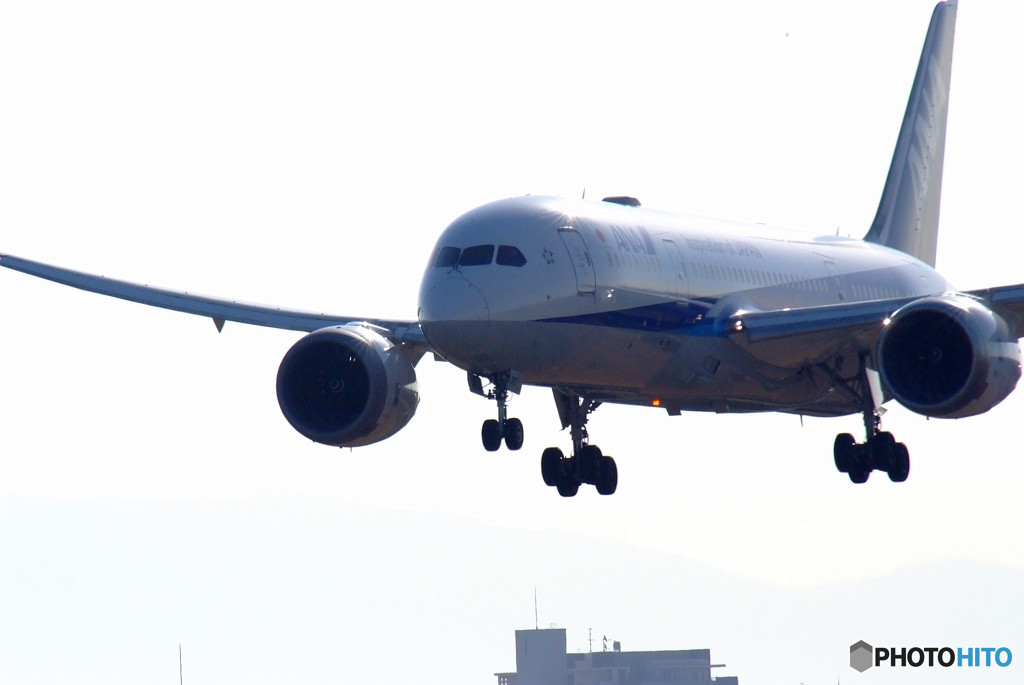 Morning Hunter・787