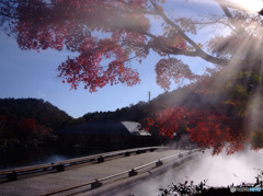 勝尾寺の紅葉