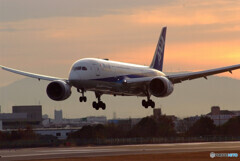 December 20rd✈ITMの朝