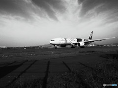 さらば!JA743A さらば!JA743A