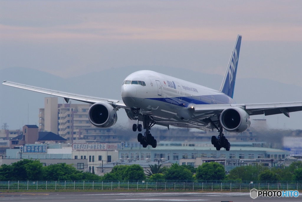 男の紋章・第2章