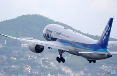 Another Sky・787