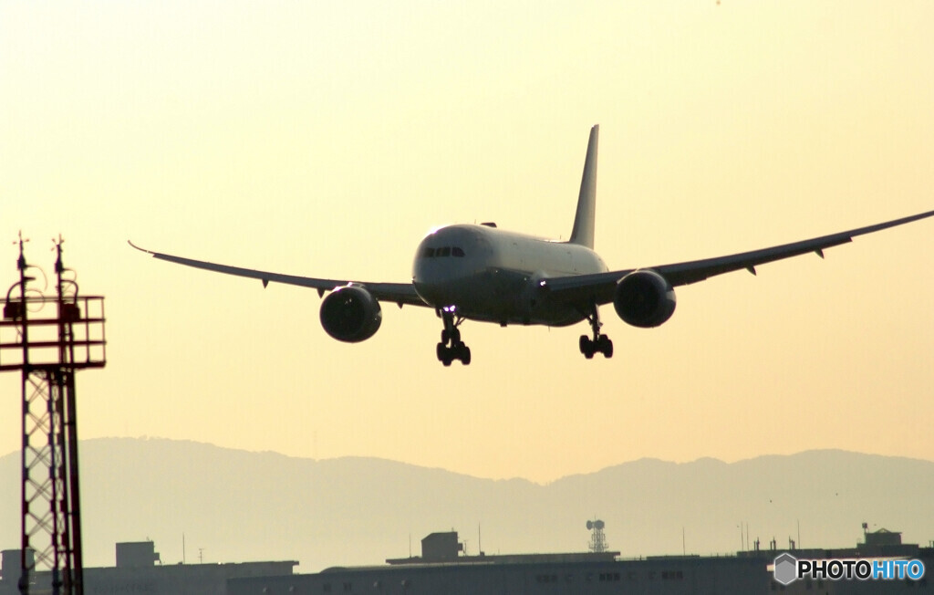 11月の翼✈Boeing787-9
