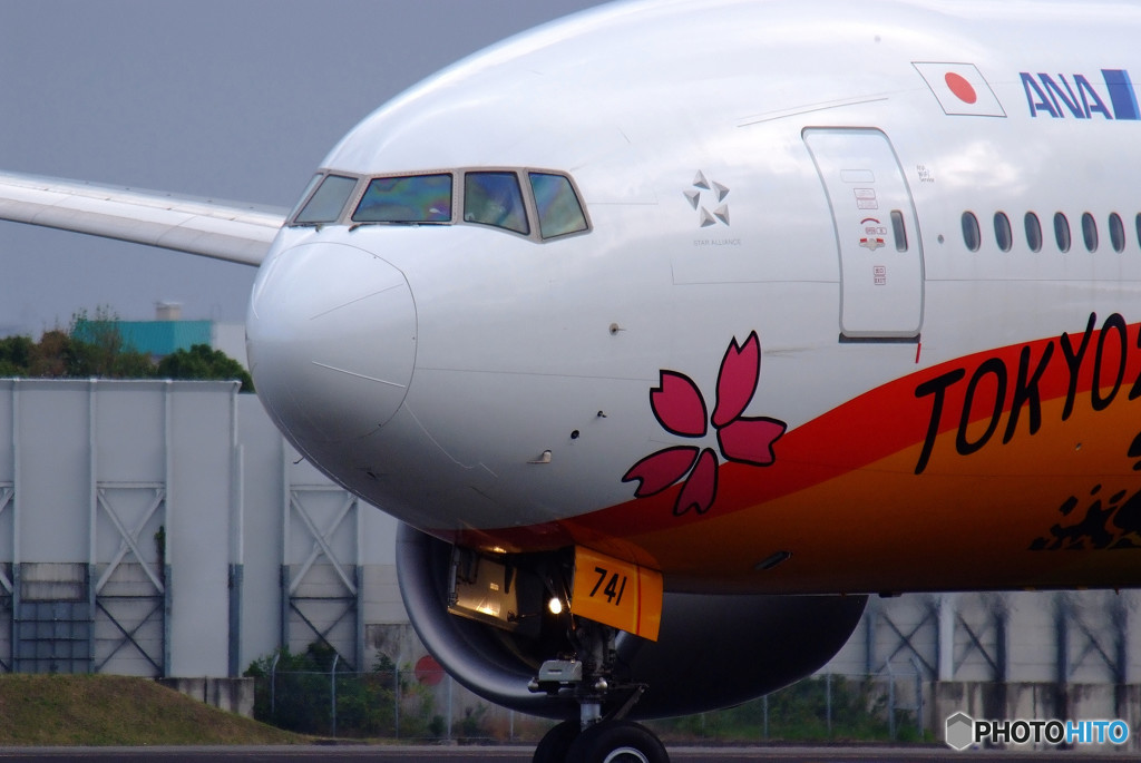 Morning Target・艶