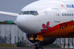 Morning Target・艶