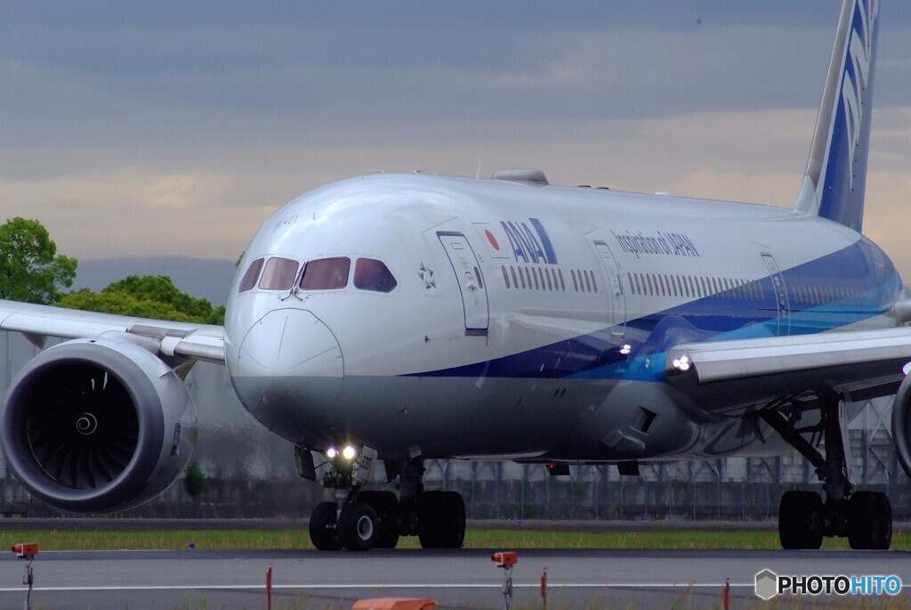 SKY LANDの朝 Ⅳ✈Boeing 787-9