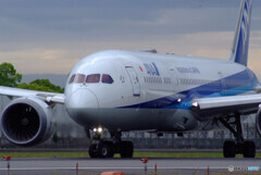 SKY LANDの朝 Ⅳ✈Boeing 787-9