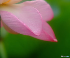 雨音・雫