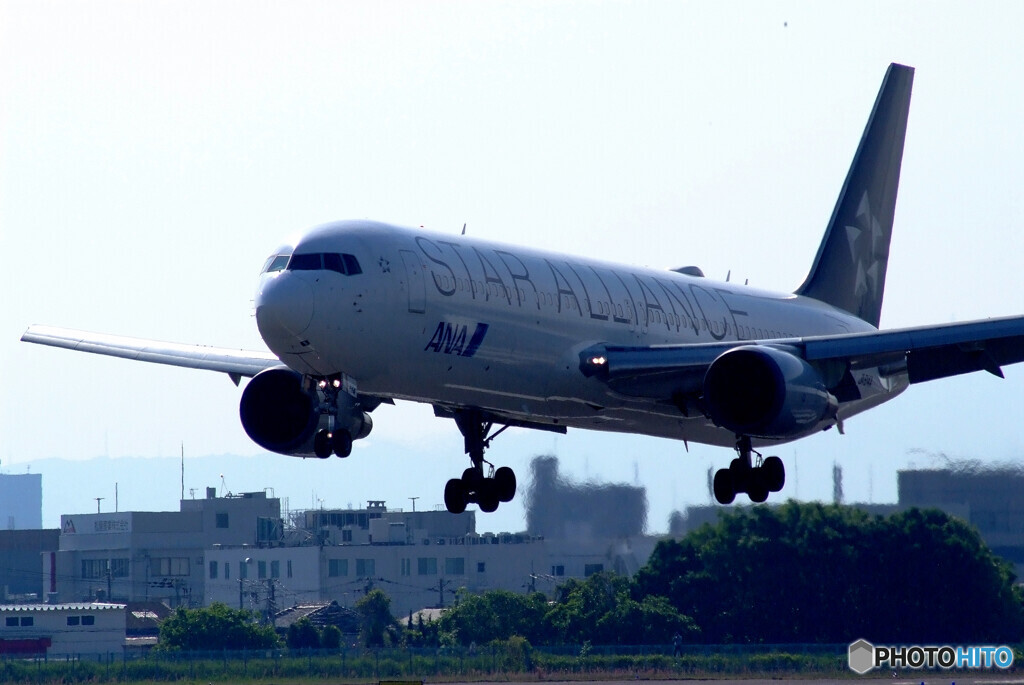 皐月の朝✈JA614A